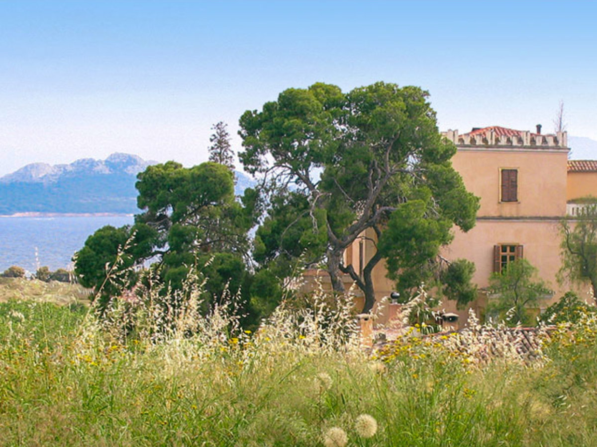 Greece – Consciousness